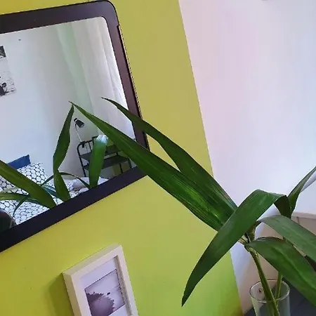 Music & And Apartament