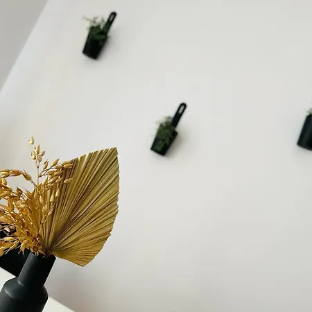 Music & And * Katovice