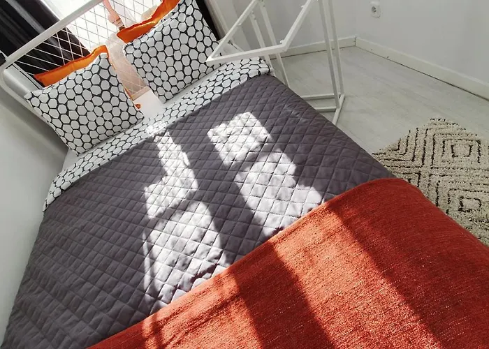 Music & And 卡托维兹