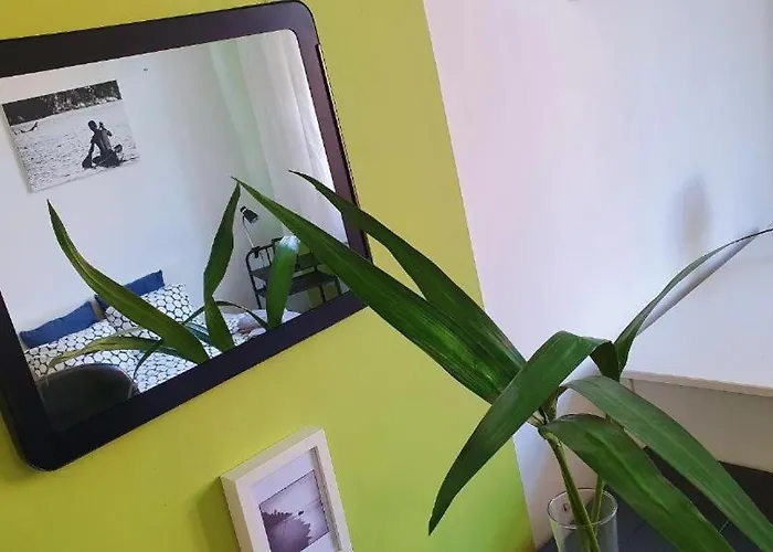 Music & And דירה