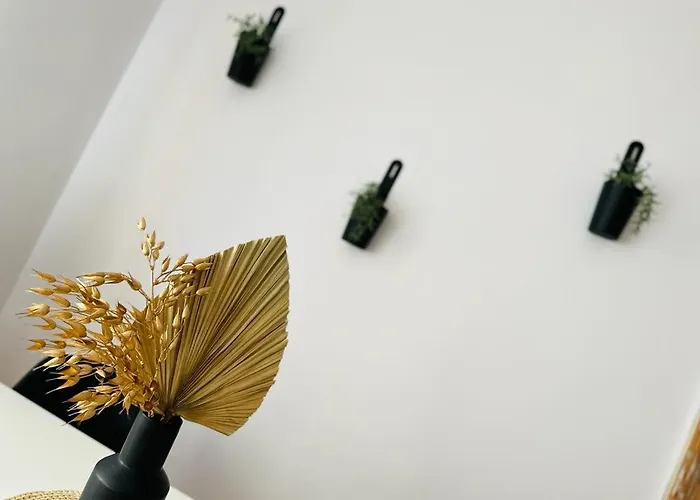 Music & And * 卡托维兹